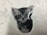 Tabby Cat Glass Resin Brooch
